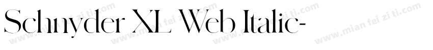 Schnyder XL Web Italic字体转换